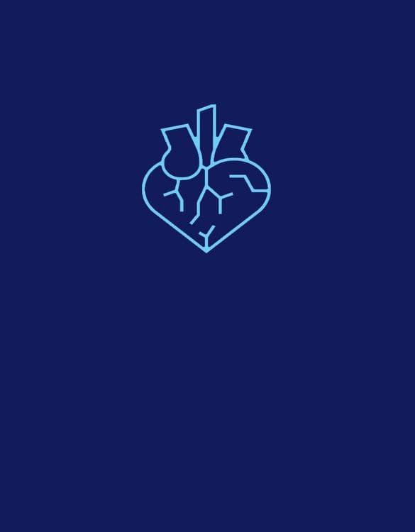 Vascular Ultrasound